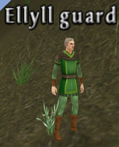 Picture of Ellyll Guard