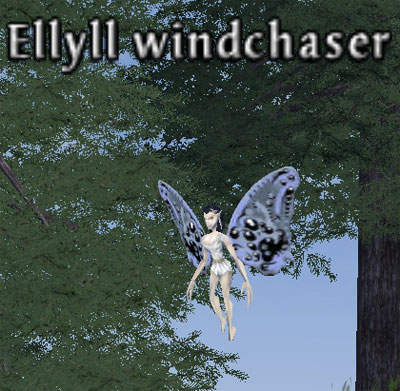 Picture of Ellyll Windchaser