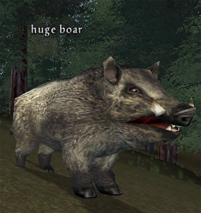 Picture of Huge Boar