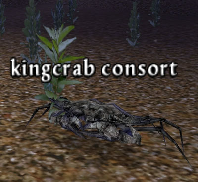 Picture of Kingcrab Consort (Alb)