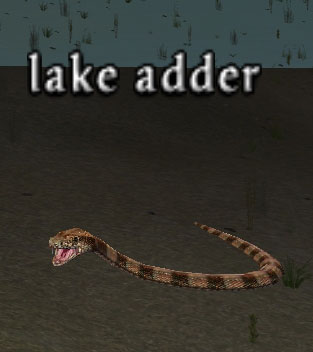 Picture of Lake Adder