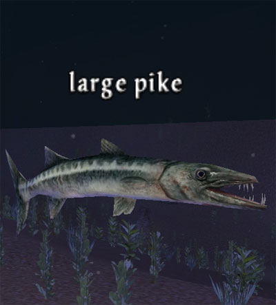 Picture of Large Pike