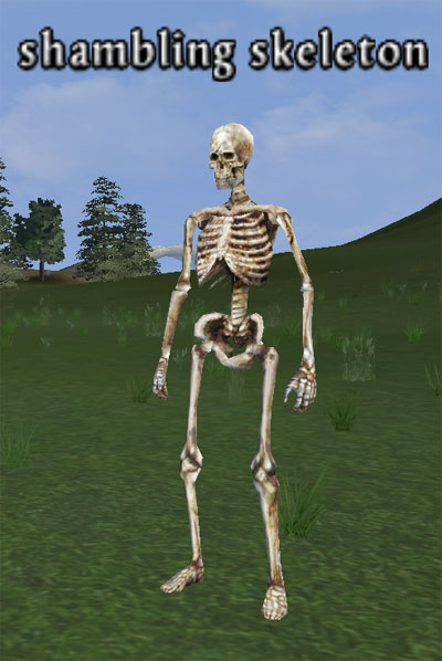 Picture of Shambling Skeleton