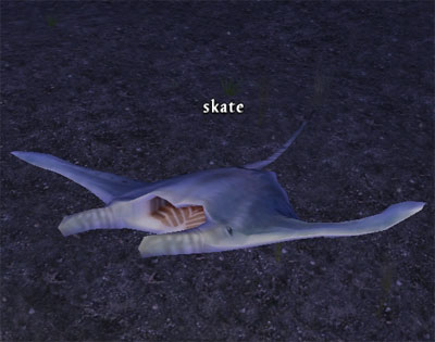 Picture of Skate