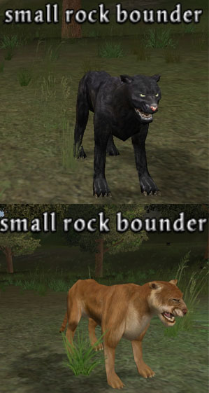 Picture of Small Rock Bounder