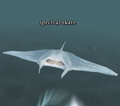 Picture of Spectral Skate