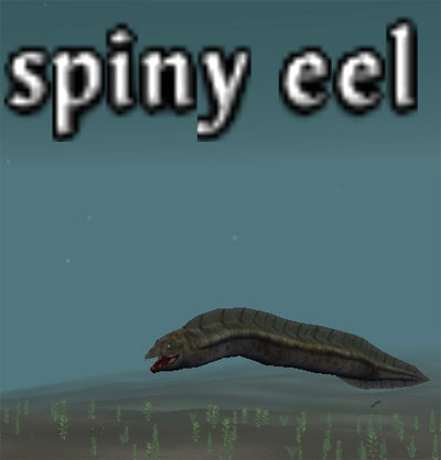 Picture of Spiny Eel