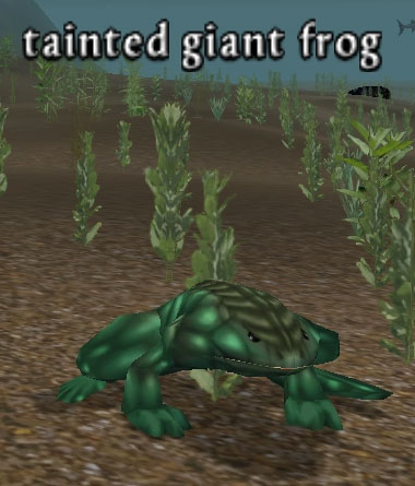 Picture of Tainted Giant Frog