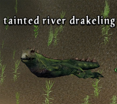 Picture of Tainted River Drakeling