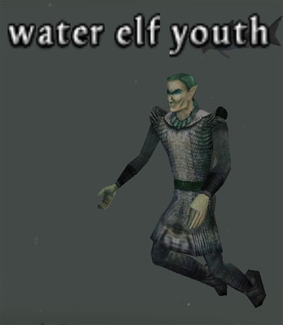 Picture of Water Elf Youth
