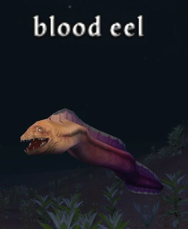 Picture of Blood Eel