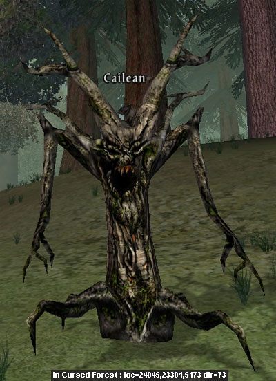 Picture of Cailean