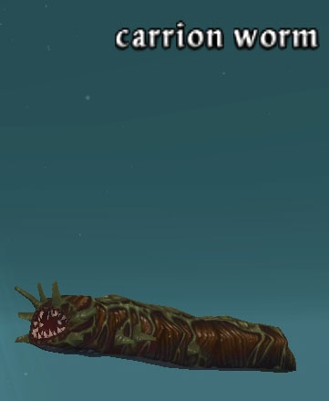 Picture of Carrion Worm