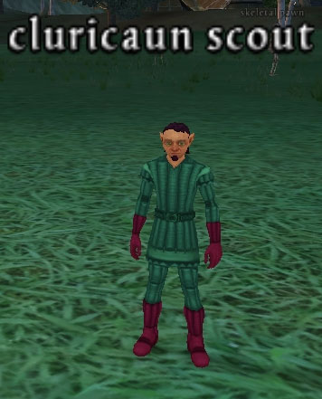 Picture of Cluricaun Scout