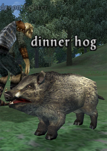 Picture of Dinner Hog