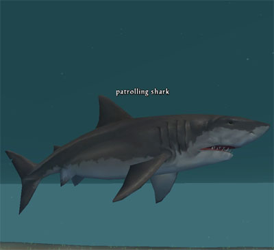 Picture of Patrolling Shark