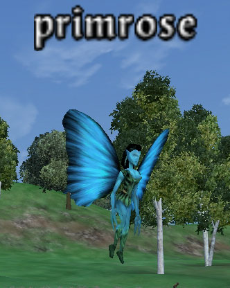 Picture of Primrose