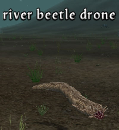 Picture of River Beetle Drone
