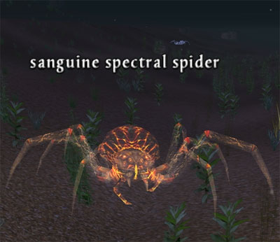 Picture of Sanguine Spectral Spider