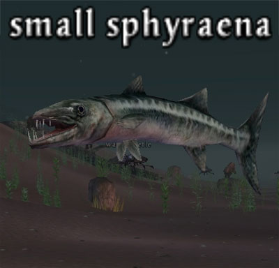 Picture of Small Sphyraena