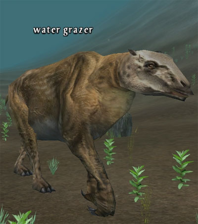 Picture of Water Grazer