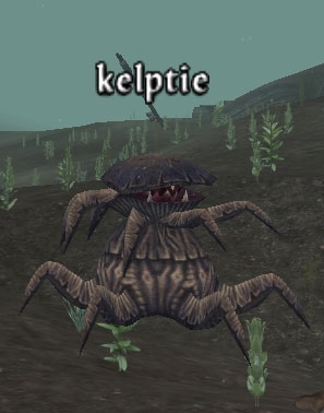 Picture of Kelptie (Mid)