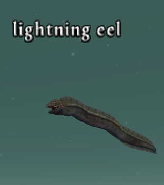 Picture of Lightning Eel