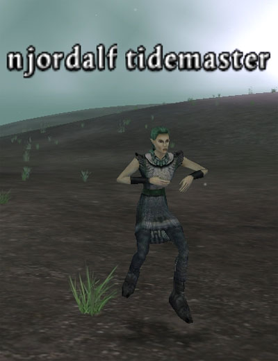 Picture of Njordalf Tidemaster