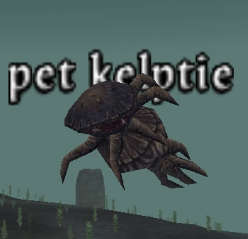 Picture of Pet Kelptie (Mid)