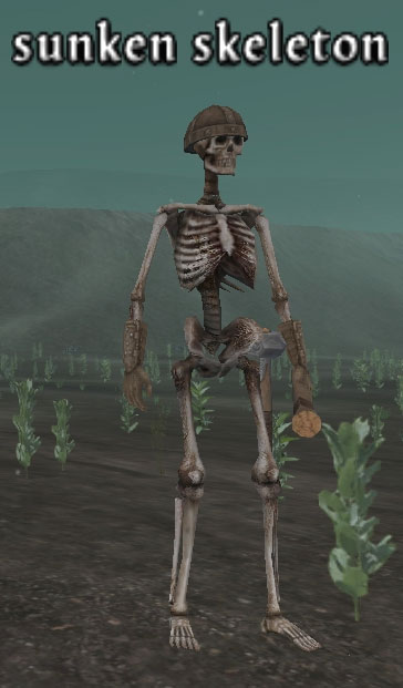 Picture of Sunken Skeleton (Mid)