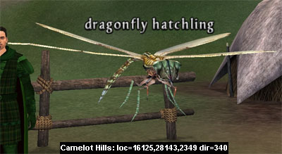 Picture of Dragonfly Hatchling