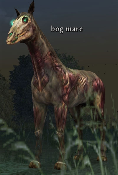 Picture of Bog Mare