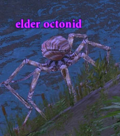 Picture of Elder Octonid