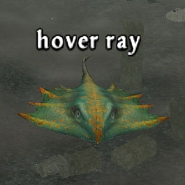 Picture of Hover Ray