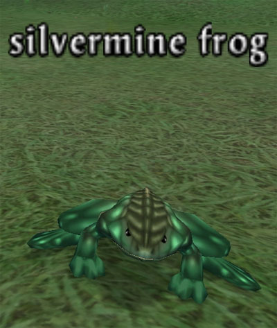 Picture of Silvermine Frog