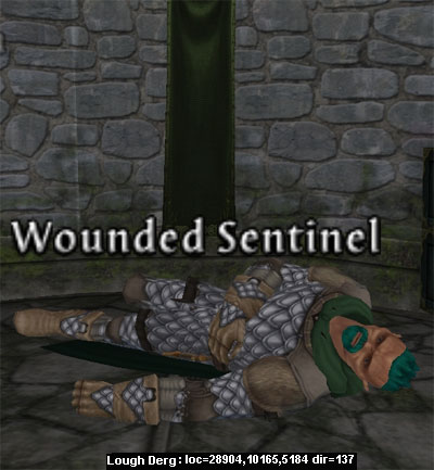 Picture of Wounded Sentinel
