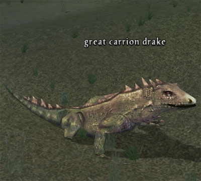 Picture of Great Carrion Drake