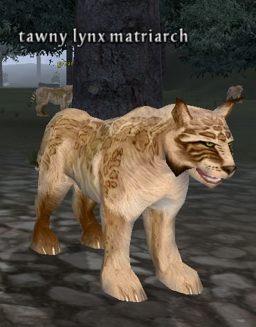 Picture of Tawny Lynx Matriarch