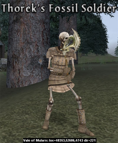 Picture of Thorek's Fossil Soldier