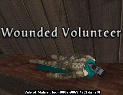 Picture of Wounded Volunteer