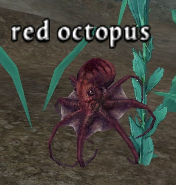 Picture of Red Octopus
