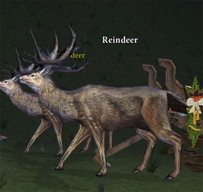 Picture of Reindeer