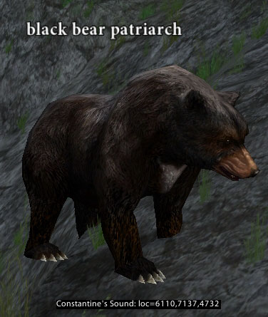 Picture of Black Bear Patriarch (Alb)