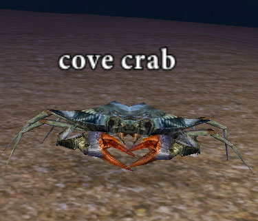 Picture of Cove Crab