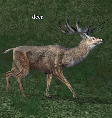 Picture of Deer (Alb)