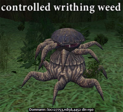 Picture of Controlled Writhing Weed