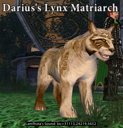 Picture of Darius's Lynx Matriarch