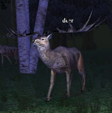 Picture of Deer (Hib)