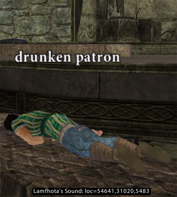 Picture of Drunken Patron (Hib)