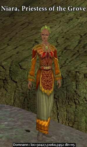 Picture of Niara, Priestess of the Grove